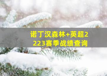 诺丁汉森林 英超2223赛季战绩查询